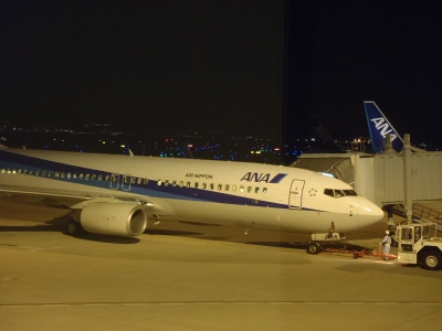 沖縄磯採集2013年5月下旬2　関西国際空港　ANA便