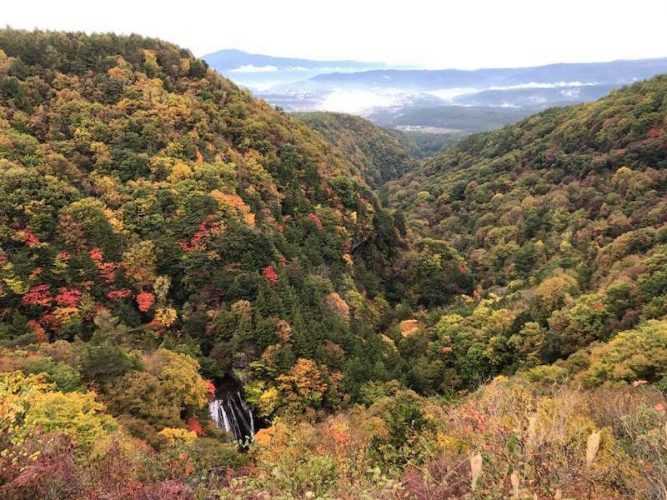 蓼科高原エリアは今が紅葉見頃 創業大正十五年 蓼科 親湯温泉 楽天ブログ 新着情報 楽天ブログ