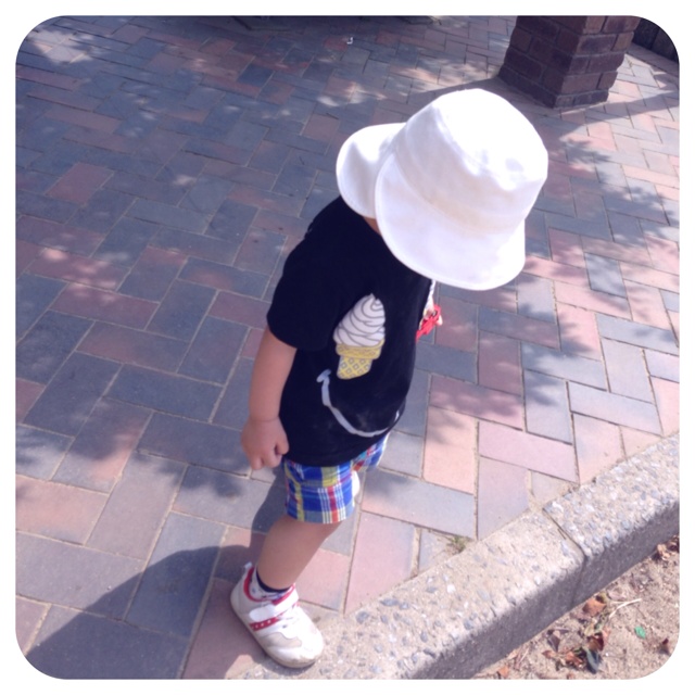 rblog-20130613181737-00.jpg