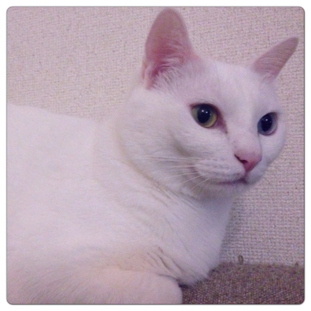 rblog-20130726235140-00.jpg