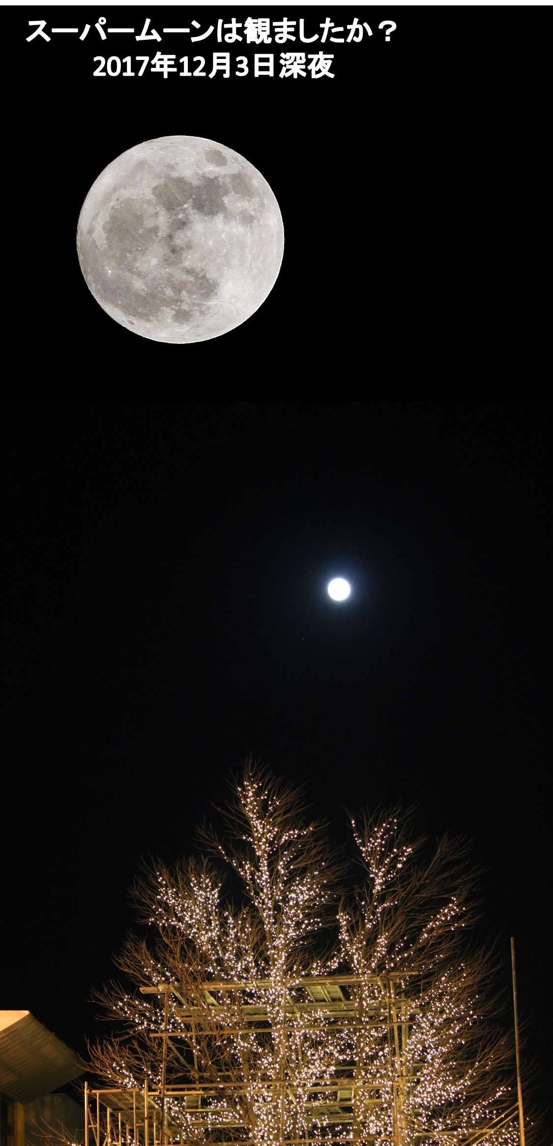 今年のスーパームーン見ました 12月4日未明 今年最大の満月 としじんの つれづれ写真便り 楽天ブログ