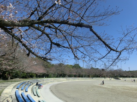 桜０４グラウンド