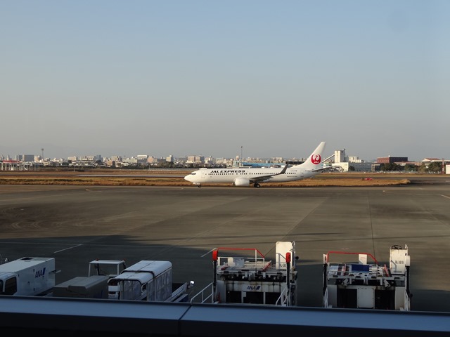 DSC08088_R.JPG
