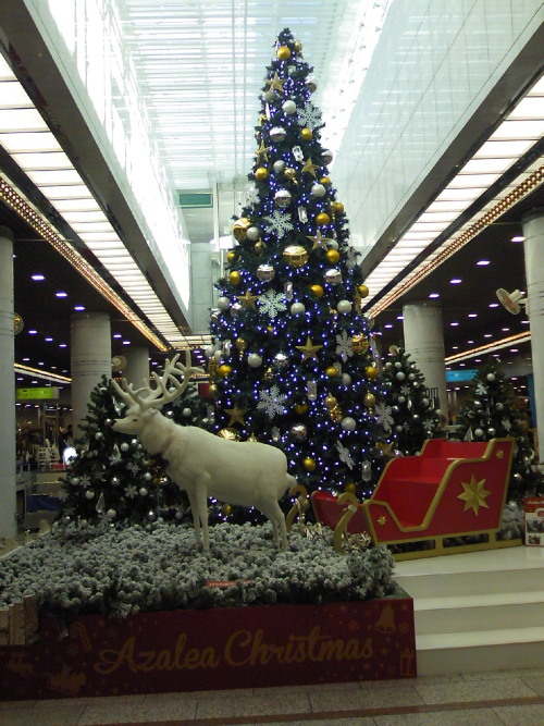 20121219_17aa.jpg