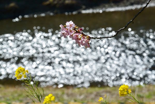 rblog-20170208101901-06.jpg