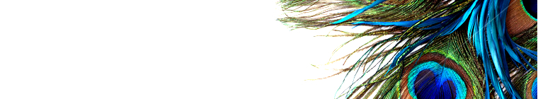 ターコイズ・アイテム