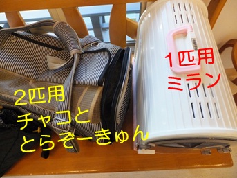 20121006_3.jpg