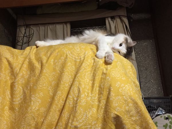 rblog-20150603175759-02.jpg