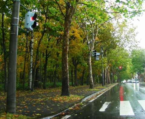 2015-10-09kouyou2 (1).JPG