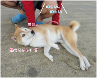 ken願い3.jpg