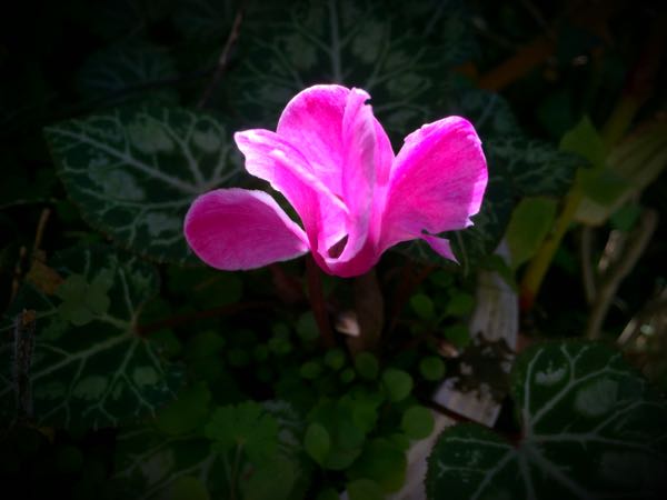 rblog-20151127134606-03.jpg
