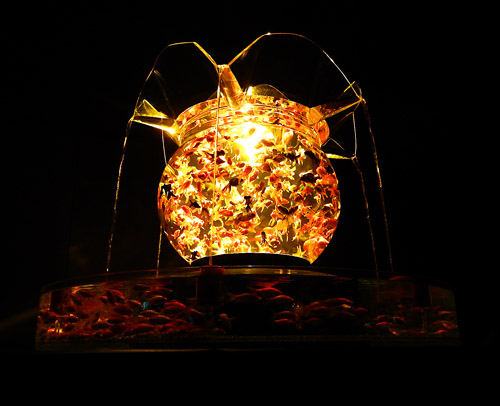 金魚６