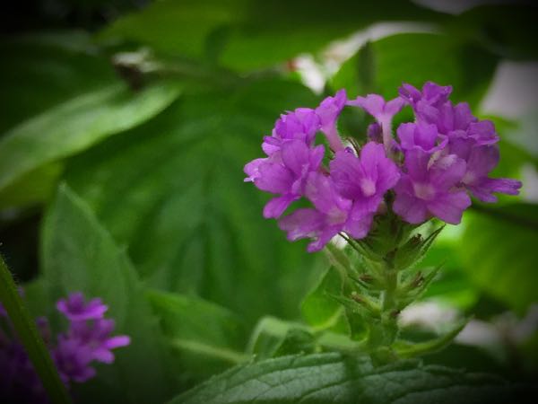 rblog-20160625182717-09.jpg
