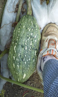 140918_1013~01.jpg
