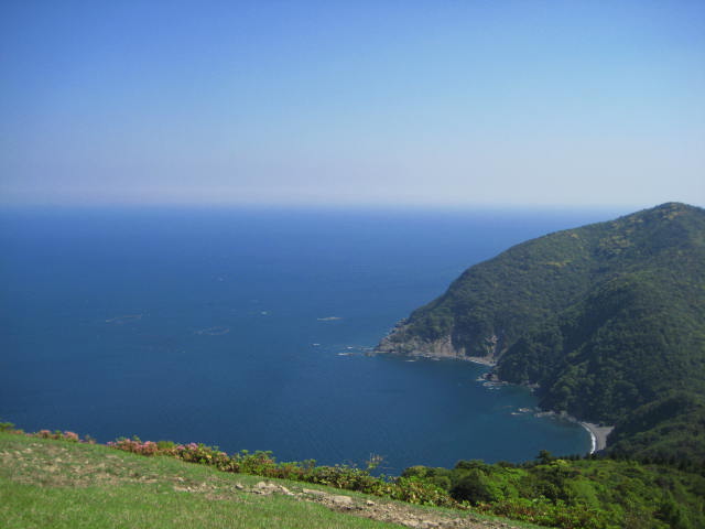 IMG_3949.JPG