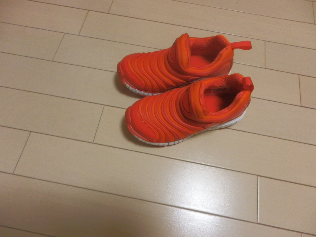 P1110290.JPG