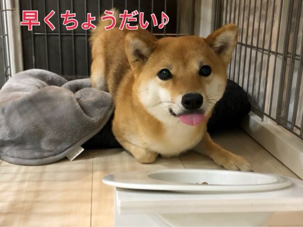 rblog-20171220091523-08.jpg
