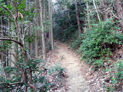 東鳳翩山-19.jpg