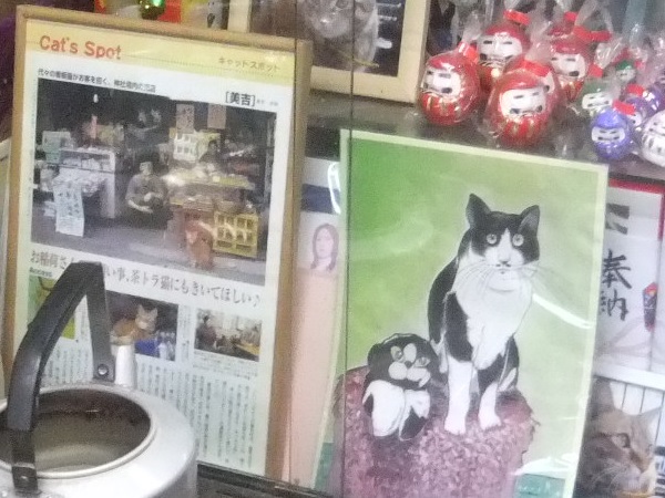 豊川稲荷境内美吉＠赤坂見附の猫の写真