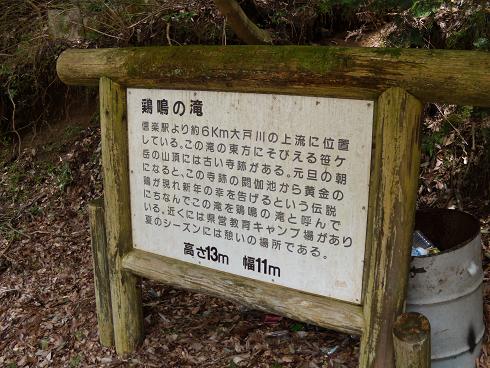 DSCN1994.JPG