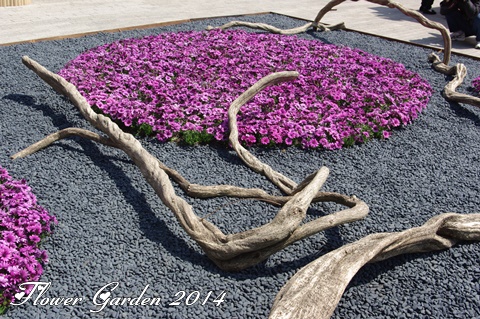 Flower Garden 2014