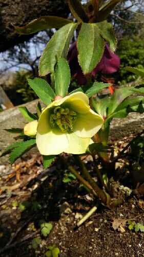 rblog-20150228114056-02.jpg