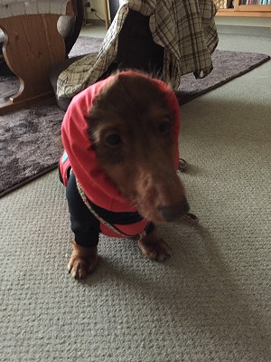 2015-07-01 21.00.53.jpg