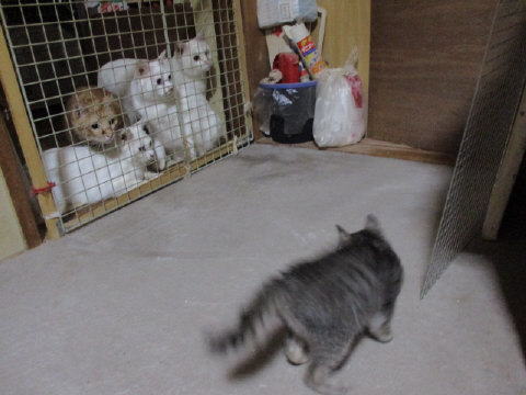 16a0563.jpg