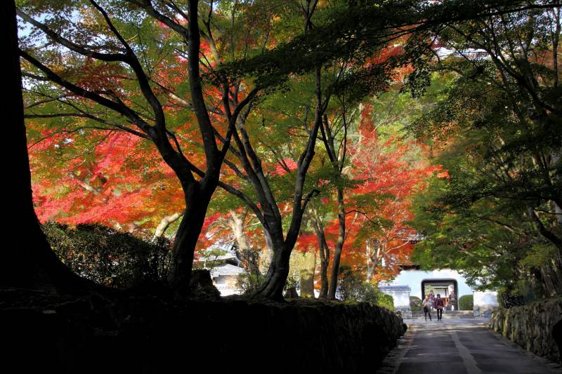 興聖寺_005.jpg