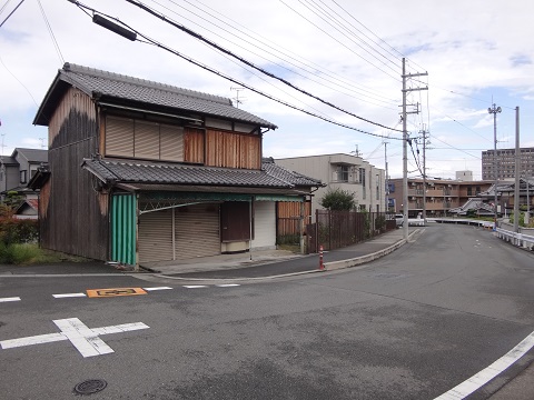 DSC09172.JPG