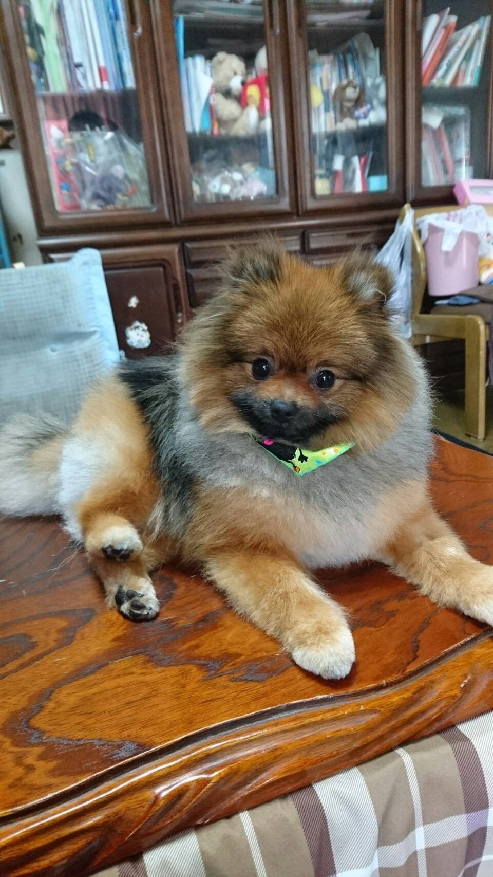 暑いので バル 動脈管開存症だけど大切な家族 楽天ブログ