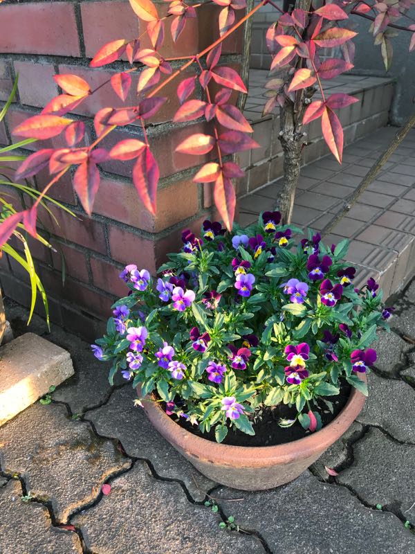 rblog-20180325184635-04.jpg