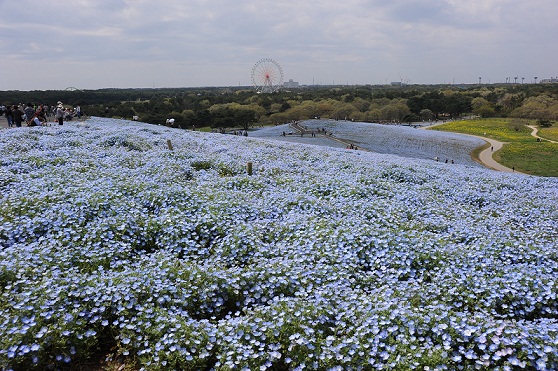 2011.4.29 015.JPG