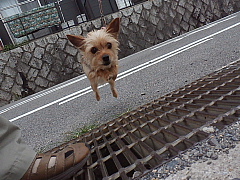 conv0563.JPG