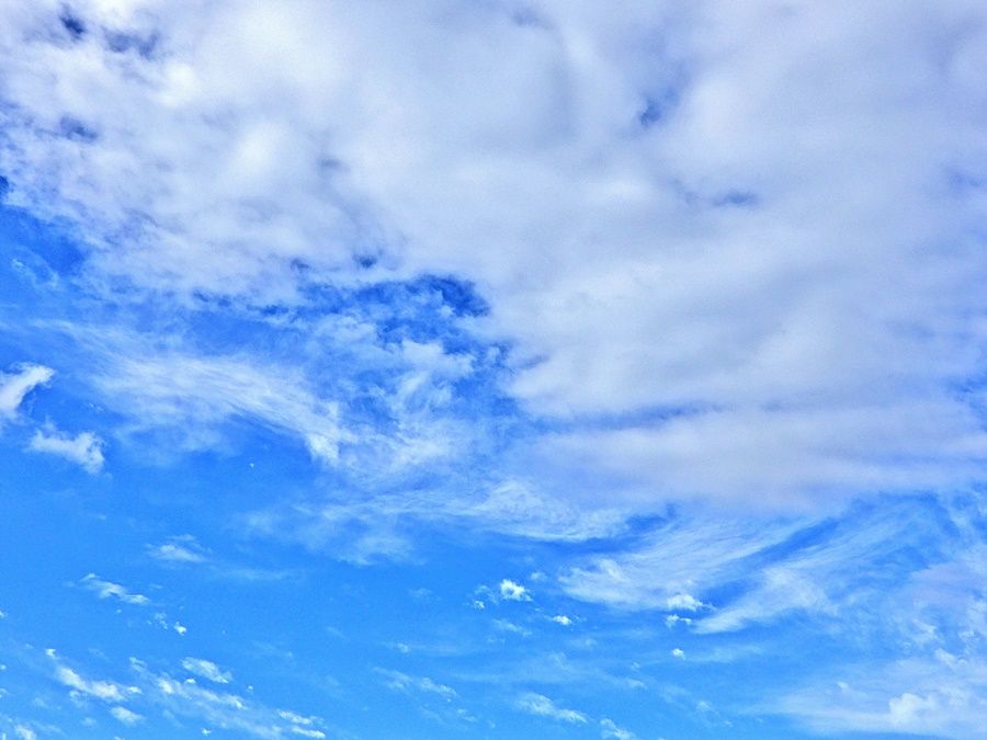 空4
