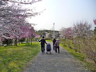 zoro jr,の嫁と子（涼香）とばぁちゃんが行く.jpg