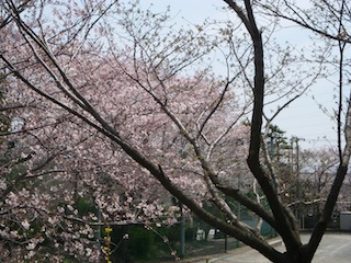 DSCN3815.JPG