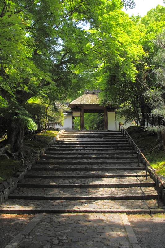 安楽寺_005.jpg