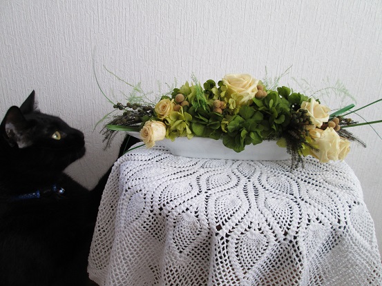 2014-06-26 08.29.38.jpg