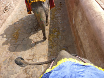 インド602.jpg