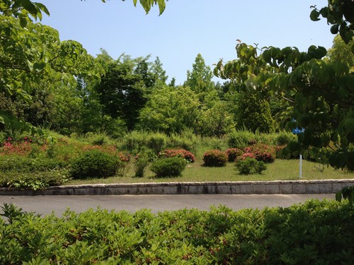 4病院　500４jpg.jpg