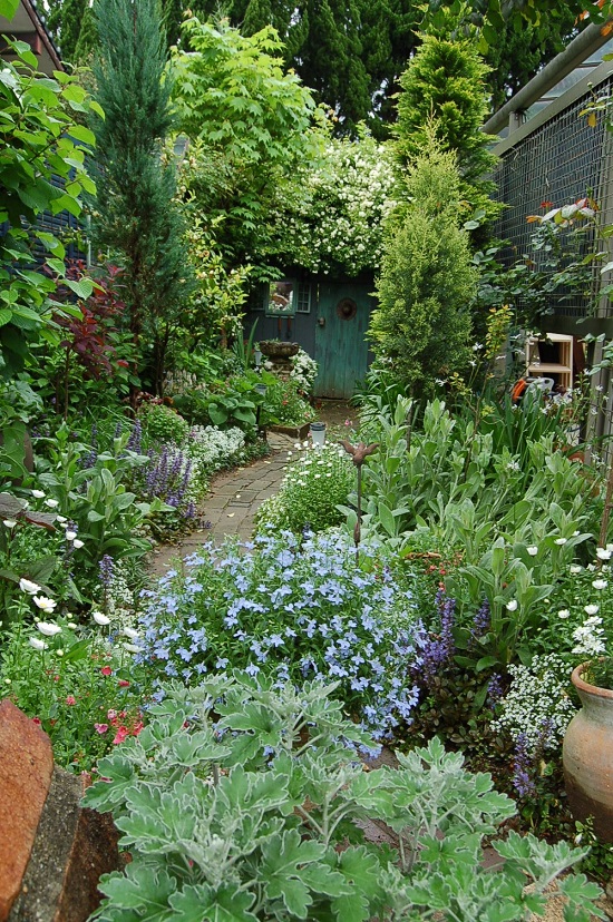 DSC_0101.JPG