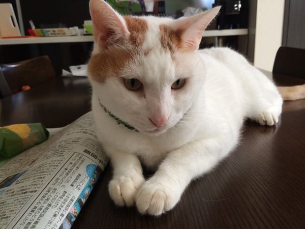 rblog-20150816091821-02.jpg