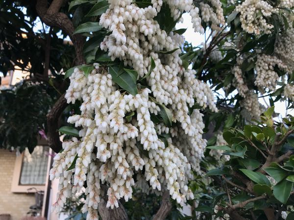 rblog-20180325184332-05.jpg