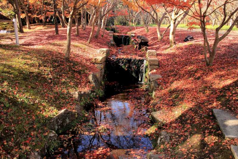 万博万博記念公園_003.jpg