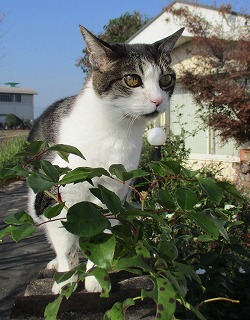 IMG_2954ss.jpg