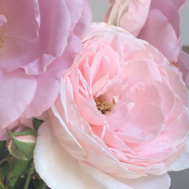 rblog-20130713102033-01.jpg