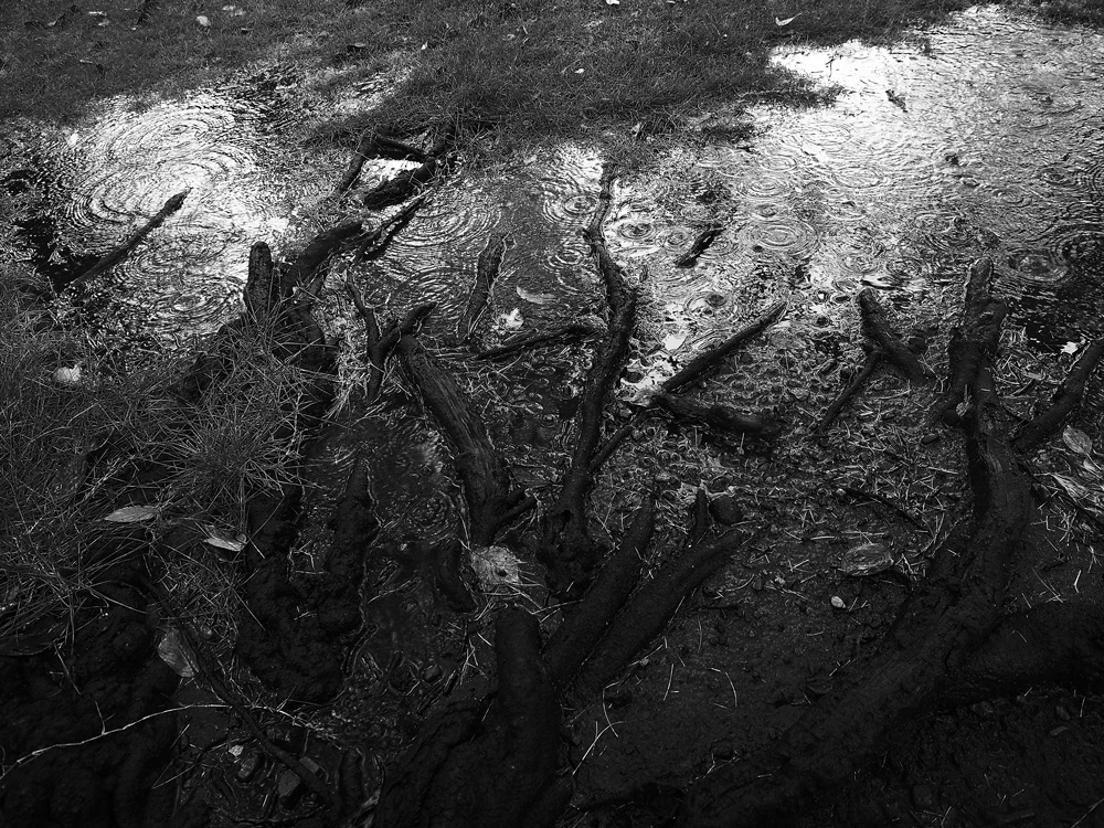 PA050138.jpg
