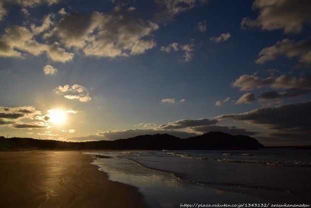 目に関する31の非常識な事実