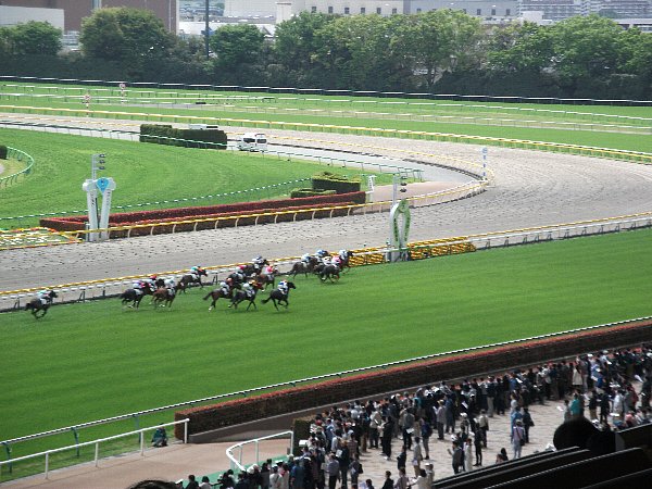4-23 tokyo-keiba-112.JPG